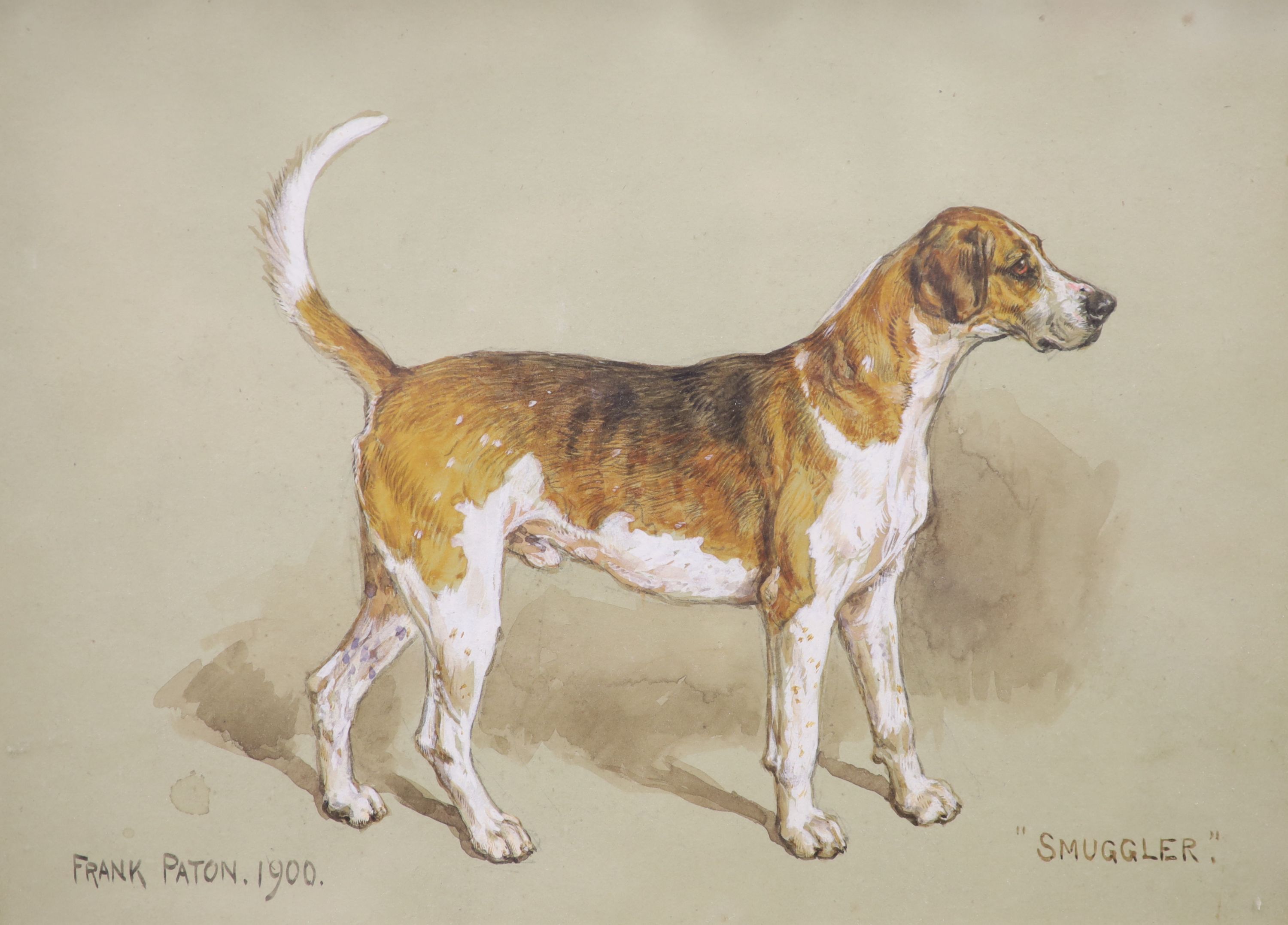 Frank Paton (1856-1909), pair of watercolours, Portraits of fox hounds; Smuggler and Vanguard, signed and dated 1900, 23 x 32cm